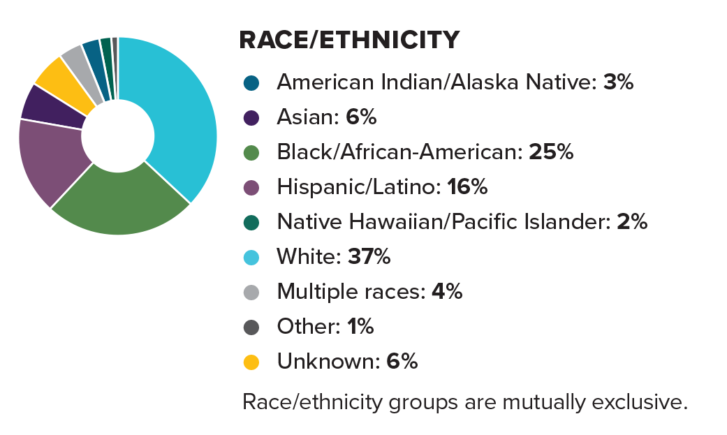 Overview2019_race